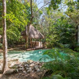 Private Jungle Villa with Full Kitchen & Pool Access