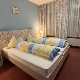 Hotel Krone Wangen an der Aare，位于伍恩安德阿尔的酒店