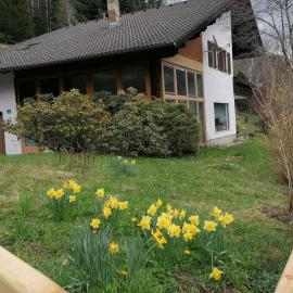 Gästehaus Gruber，位于Pusterwald的酒店