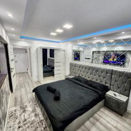 Apartament Premium Ultracentral - 3 camere，位于博托沙尼的酒店