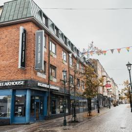 Home Hotel Bristol,位于阿尔维卡的酒店