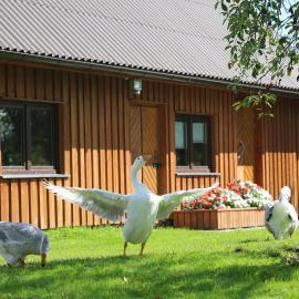Peaceful Nature Escape Among Farm Animals，位于Jõeküla的酒店
