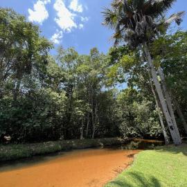 Bosque dos Buritis，位于阿拉瓜伊纳的酒店