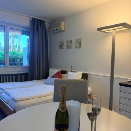Holiday on The Lake Lugano 2，位于比索内的酒店