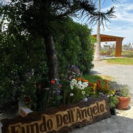 Club Positano Fundo Dell'Angelo，位于Mala的酒店