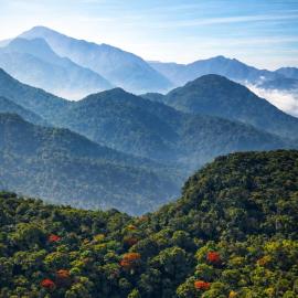 Jungle Park Resort-Rain Forest Experience by GreenEscapes，位于维特利的酒店