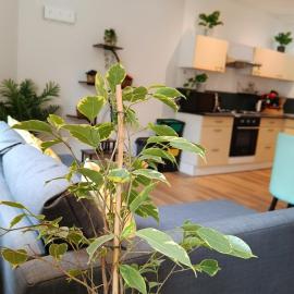 Appartement 2，位于内尔河畔欧比尼的酒店