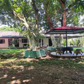 Hotel Campo Verde，位于比利亚加松的酒店