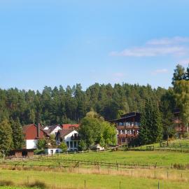 Waldhotel Bächlein，位于米特威茨的酒店