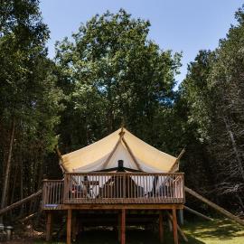 Whispering Springs Wilderness Retreat，位于Grafton的酒店