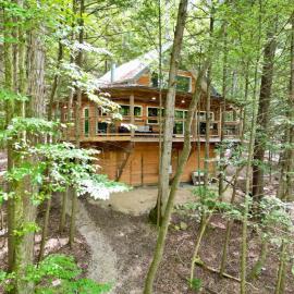 The Founder - Iconic Rockhouse Cabin，位于Campton的酒店