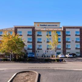 Comfort Inn & Suites Salem Northeast，位于塞勒姆的酒店