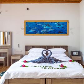 Ayvana Retreat，位于Feridhoo的酒店