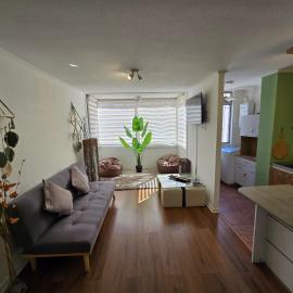 Céntrico y cómodo departamento，位于洛斯安第斯的酒店