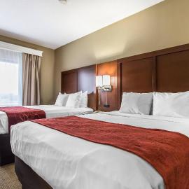 Comfort Suites Effingham Central，位于埃芬汉的酒店