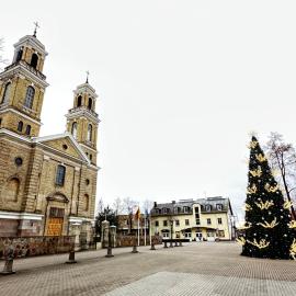 Vievis Hotel Vievija，位于Vievis的酒店