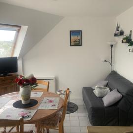 Appartement lumineux et cosy，位于普卢贡韦兰的酒店