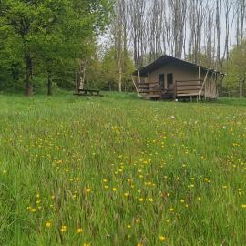 Deer Barn Retreats，位于Hockworthy的酒店