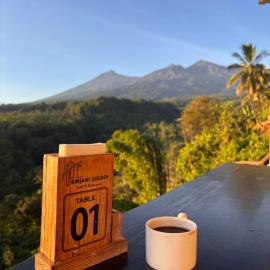 Rinjani Golden，位于森纳儒的酒店