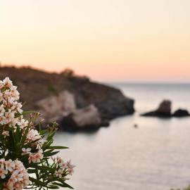 Elefthia Syros - Luxury Houses & Suites