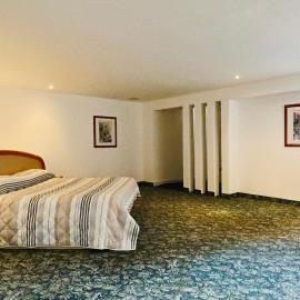 Hotel Altum Business,位于托卢卡的酒店