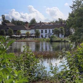 Frensham Pond Country House Hotel & Spa，位于法纳姆的酒店