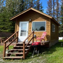Blue Moose Cabin at Moose Tracks Lodging，位于基奈的酒店