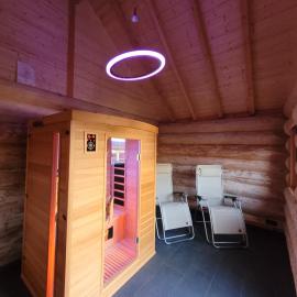 Carpe Diem Wellness Ferienwohnung，位于Illingen的酒店
