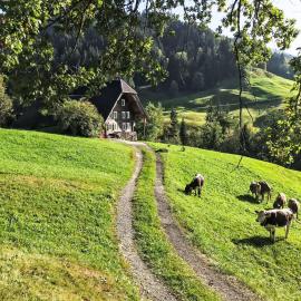 Holiday Home Rüttimätteli by Interhome，位于Marbach的酒店