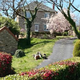 Gîte des Bruyeres，位于Beynat的酒店