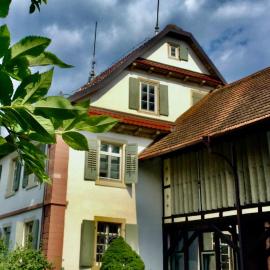 Villa Buselmeier，位于诺伊里德的酒店