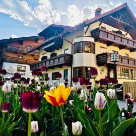 Chalet Sonneck - Seefeld，位于蒂罗尔-泽费尔德的酒店
