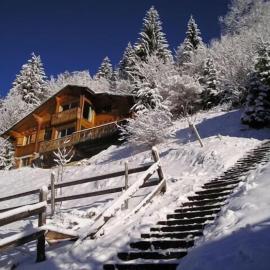 La Rissole - Chalet familial，位于沙泰勒的酒店