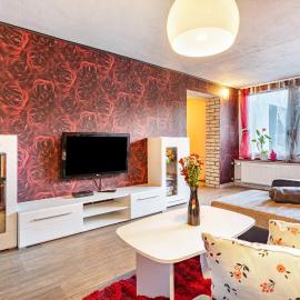 Große Ferienwohnung mit Garten，位于Trollenhagen的酒店