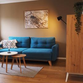 Ferienwohnung Siedlungsnest，位于安克拉姆的酒店