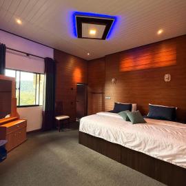 Roshan Guest House，位于努沃勒埃利耶的酒店