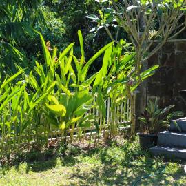 Charming 2BR Home Close to Pering Beach Gianyar，位于萨巴的酒店