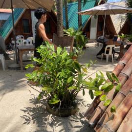 Sea Breeze Camp