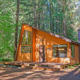 Secluded Greenwater Cabin with Loft Near Rainier，位于伊纳姆克洛的酒店