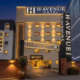 H Avenue Hotel Gyeryong Eomsa branch
