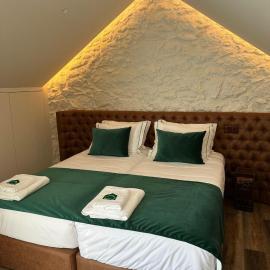 Celtic Lodge - Guest House，位于维塞乌的酒店