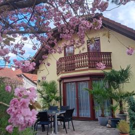 Ferienhaus "Werrablick-Frankenroda"，位于Frankenroda的酒店
