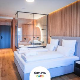 Magnetit Hotel Šumava，位于泽勒兹纳·鲁达的酒店