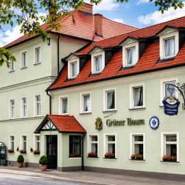 Grüner Baum，位于巴特司塔福斯坦的酒店