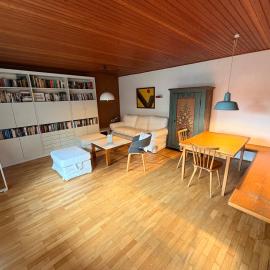 Donau Apartment，位于Sinzing的酒店