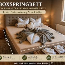 Ferienwohnung Schmidtalien,inklusive Infrarotsauna，位于Dommitzsch的酒店