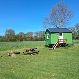 Tiny House，位于明斯特的酒店