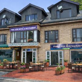 Pine view,位于古尔马尔格的酒店