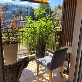Sunny Place Geneva 15 min Train，位于韦尔苏瓦的酒店