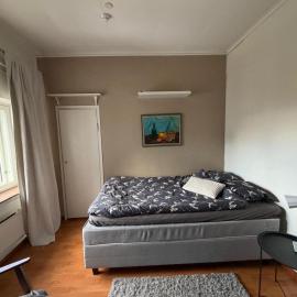 Snygg studio lägenhet Wolffskavägen 21,位于瓦萨的酒店